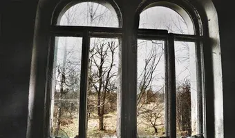 Zdjęcie opuszczonego miejsca: Opuszczony pałac w Świniarach, Świniary