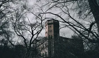 Zdjęcie opuszczonego miejsca: Opuszczony pałac w Świniarach, Świniary
