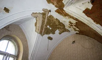 Zdjęcie opuszczonego miejsca: Opuszczony pałac w Świniarach, Świniary
