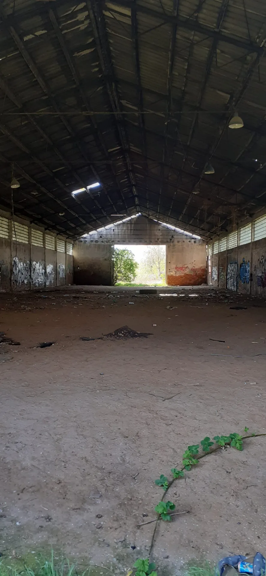 Zdjęcie opuszczonego miejsca: Puszczony hangar
