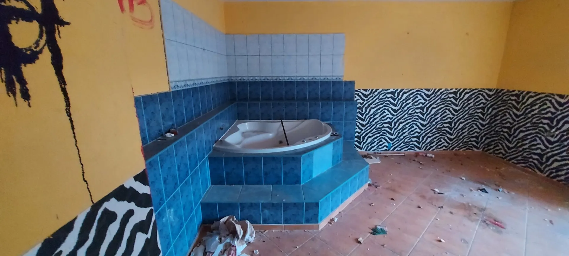 Zdjęcie opuszczonego miejsca: Nightclub