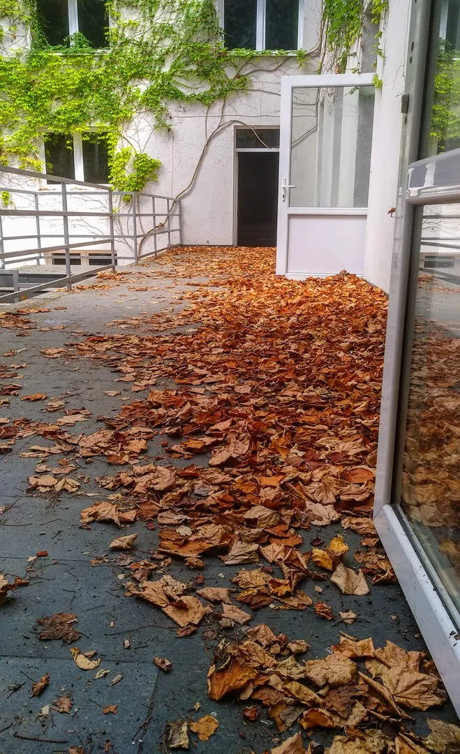 Zdjęcie opuszczonego miejsca: Spa Morena w Łagowie.