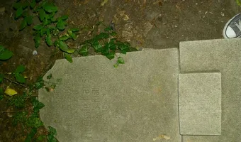 Zdjęcie opuszczonego miejsca: Zrujnowany cmentarz, Gdańsk Wrzeszcz