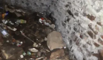 Zdjęcie opuszczonego miejsca: Ruiny Huty Józef