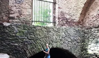 Zdjęcie opuszczonego miejsca: Ruiny Huty Józef