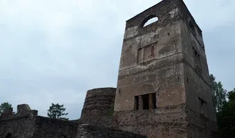Zdjęcie opuszczonego miejsca: Ruiny Huty Józef