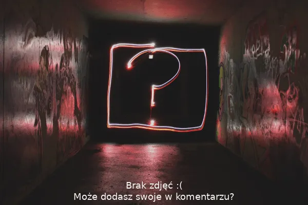 Zdjęcie opuszczonego miejsca: Schloss Stockel Kauffung
