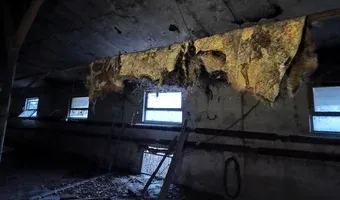 Zdjęcie opuszczonego miejsca: Opuszczone gospodarstwo i spalony domSady Opolskie