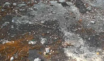 Zdjęcie opuszczonego miejsca: Ruiny ubojni