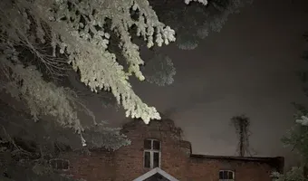 Zdjęcie opuszczonego miejsca: Zarośnięty dom z wyposażeniem
