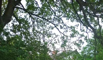 Zdjęcie opuszczonego miejsca: PGR Grzymiszew