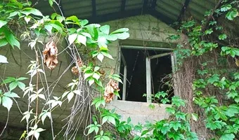 Zdjęcie opuszczonego miejsca: Dom przy szkole
