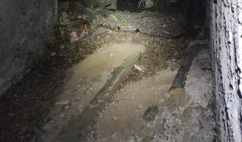 Zdjęcie opuszczonego miejsca: Dwór w Borzysławicach