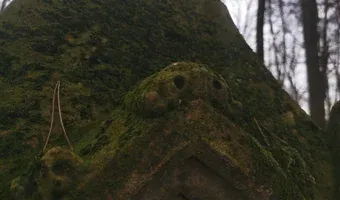Zdjęcie opuszczonego miejsca: Zabytkowy cmentarz z przełomu XIX-XX wieku
