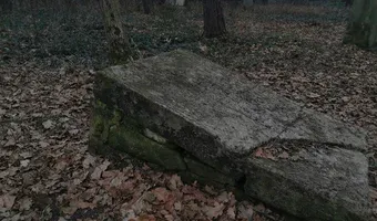 Zdjęcie opuszczonego miejsca: Zabytkowy cmentarz z przełomu XIX-XX wieku