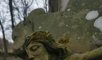 Zdjęcie opuszczonego miejsca: Zabytkowy cmentarz z przełomu XIX-XX wieku