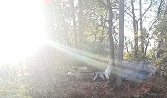 Zdjęcie opuszczonego miejsca: Ruiny Zamku w Pankowie