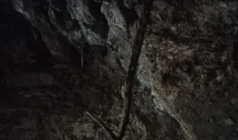 Zdjęcie opuszczonego miejsca: Ruiny Zamku w Pankowie