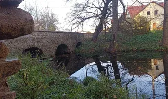 Zdjęcie opuszczonego miejsca: Ruiny Zamku w Pankowie