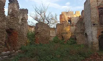 Zdjęcie opuszczonego miejsca: Ruiny Zamku w Pankowie