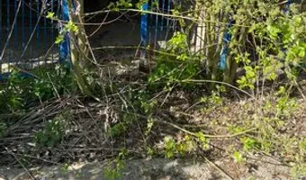 Zdjęcie opuszczonego miejsca: Schronisko dla zwierząt