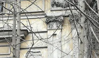 Zdjęcie opuszczonego miejsca: Willa w Tyczynie z XIXw.