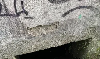Zdjęcie opuszczonego miejsca: Duży Dom w zaroślach