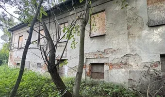 Zdjęcie opuszczonego miejsca: Duży Dom w zaroślach