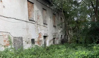Zdjęcie opuszczonego miejsca: Duży Dom w zaroślach