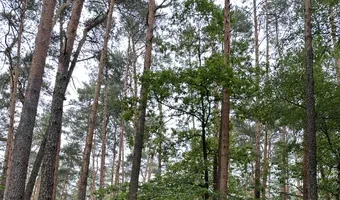 Zdjęcie opuszczonego miejsca: Ośrodek Harcerski