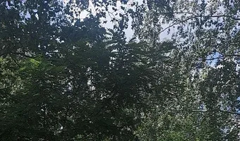 Zdjęcie opuszczonego miejsca: Budynek parterowy