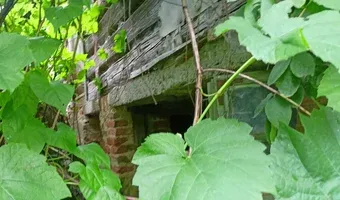 Zdjęcie opuszczonego miejsca: Opuszczony dom ze stodołą