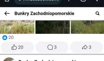Zdjęcie opuszczonego miejsca: Opuszczony platan.