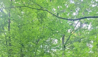Zdjęcie opuszczonego miejsca: Ruiny kopalni Augusta