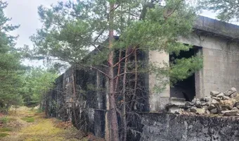 Zdjęcie opuszczonego miejsca: Poradziecki skład amunicji