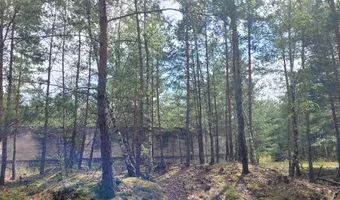 Zdjęcie opuszczonego miejsca: Poradziecki skład amunicji
