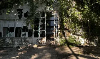Zdjęcie opuszczonego miejsca: Opuszczona szklarnia