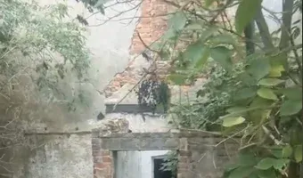 Zdjęcie opuszczonego miejsca: Mleczarnia