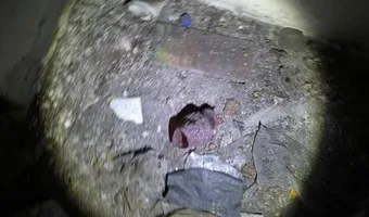Zdjęcie opuszczonego miejsca: Schrony w Dąbiu.