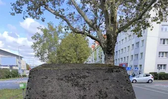 Zdjęcie opuszczonego miejsca: Schrony przy galerii Turzyn.