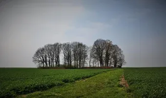Zdjęcie opuszczonego miejsca: Cmentarz Żydowski