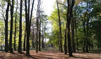 Zdjęcie opuszczonego miejsca: Dwór w Kobielach Wielkich + park