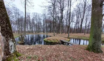 Zdjęcie opuszczonego miejsca: Dwór w Kobielach Wielkich + park