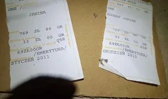 Zdjęcie opuszczonego miejsca: Dom w gąszczu