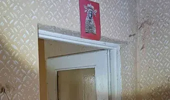 Zdjęcie opuszczonego miejsca: Dom w gąszczu