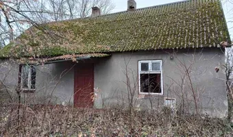 Zdjęcie opuszczonego miejsca: Dom w gąszczu