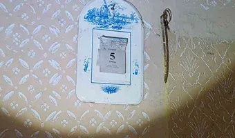 Zdjęcie opuszczonego miejsca: Dom w gąszczu