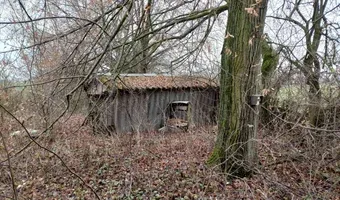Zdjęcie opuszczonego miejsca: Dom w gąszczu