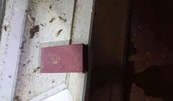 Zdjęcie opuszczonego miejsca: Dom w gąszczu