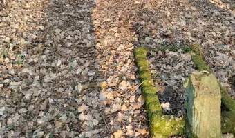 Zdjęcie opuszczonego miejsca: zabytkowy cmentarz poniemiecki